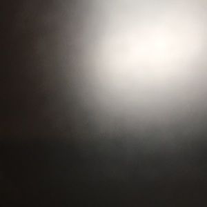 Meet your Posher, Maya